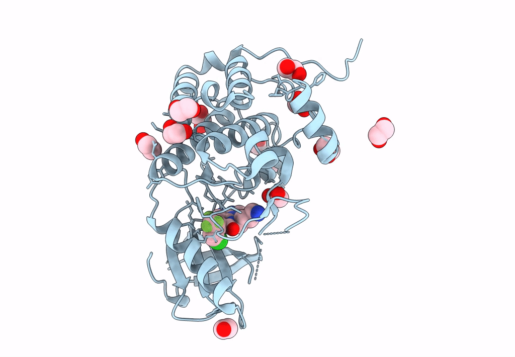 8BIO image