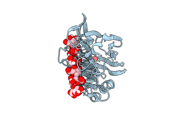 8BJO image