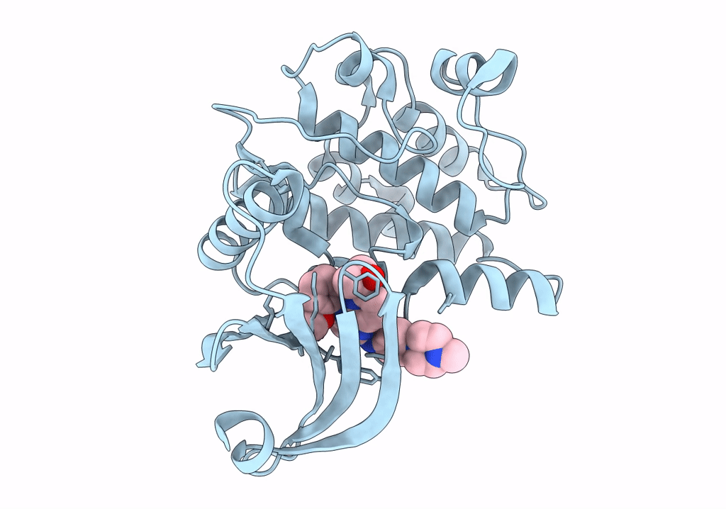 8BJU image