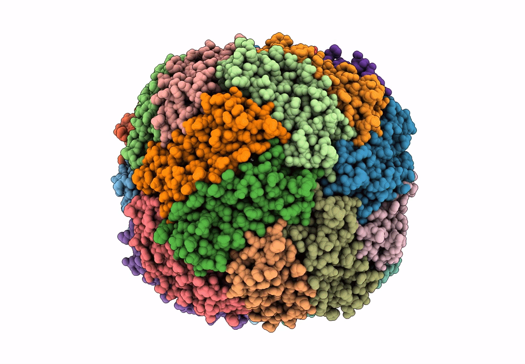 8BKB image
