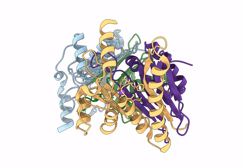 8BKF image