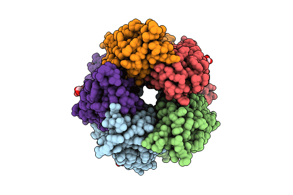 8BL8 image