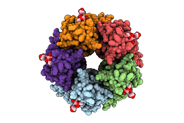 8BLB image