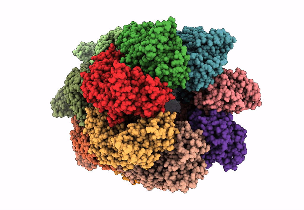 8BLD image
