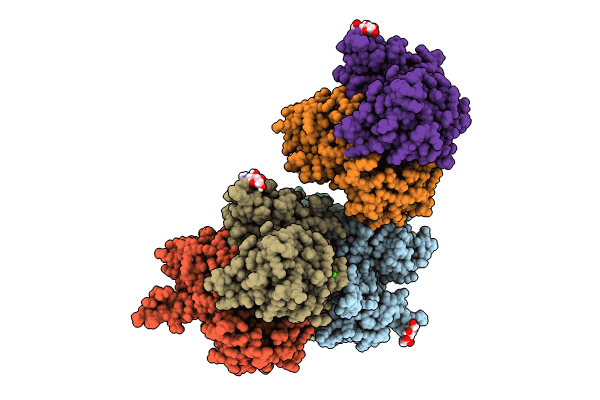 8BLJ image