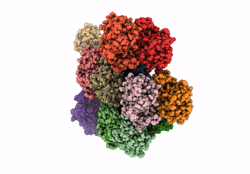 8BLL image