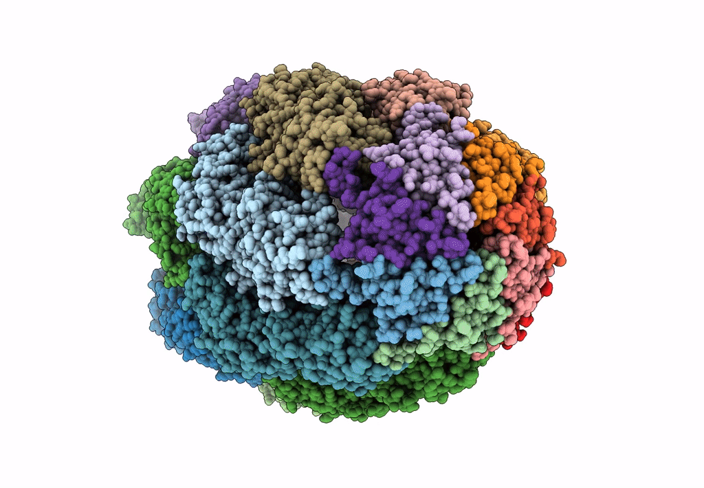 8BM1 image