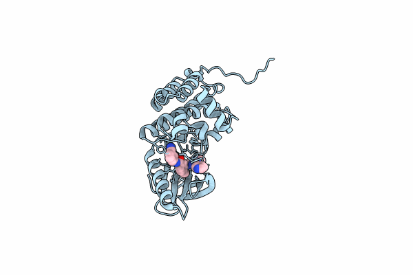 8BM8 image