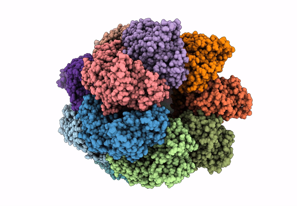 8BMD image