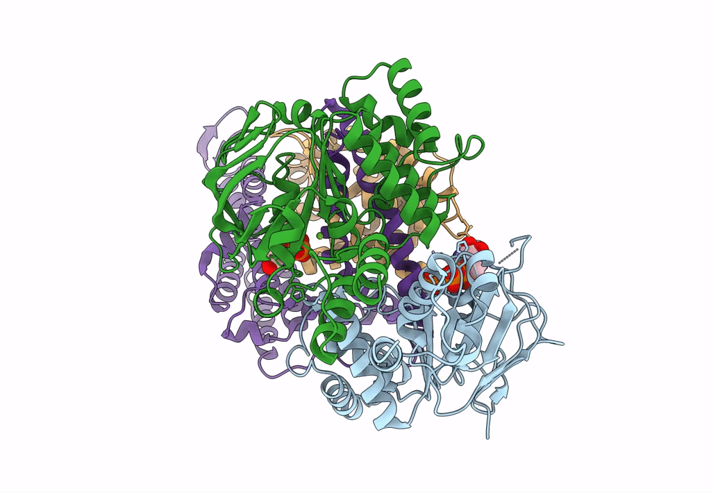 8BMP image