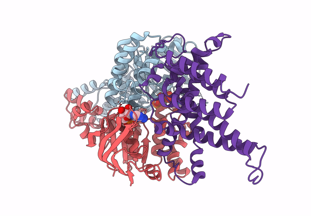 8BMS image