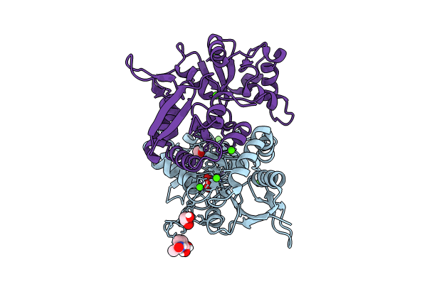 8BN2 image
