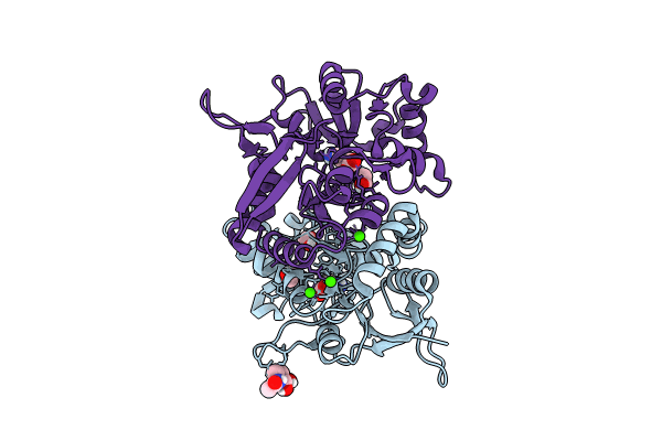 8BN5 image