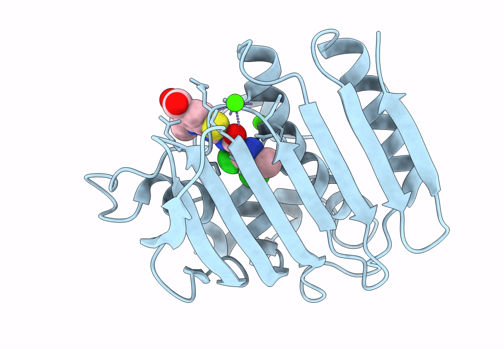 8BN6 image