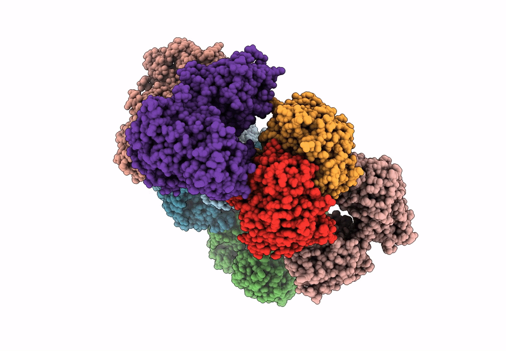 8BNR image