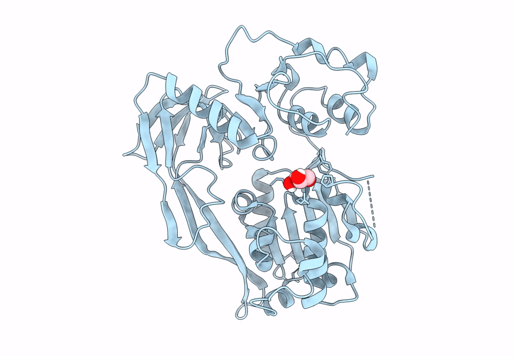 8BNV image