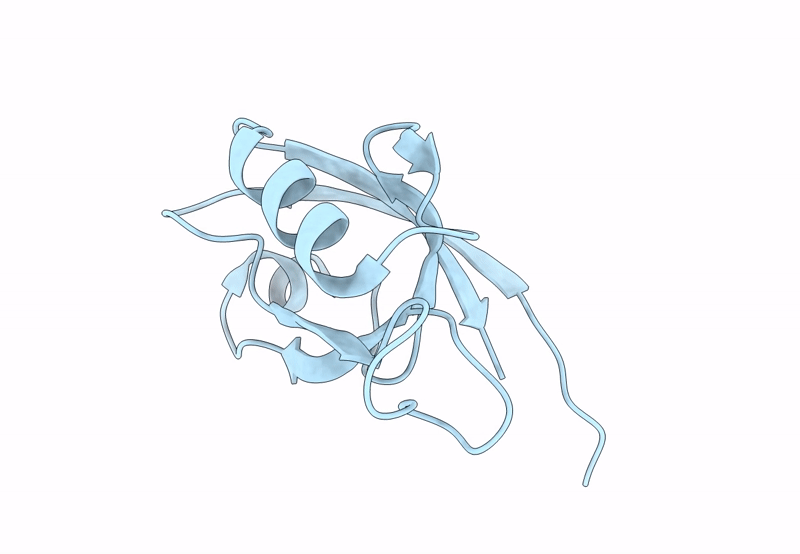8BOJ image