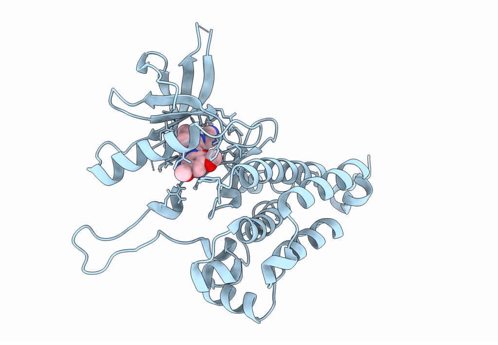 8BOK image