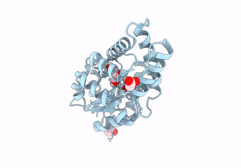 8BP1 image