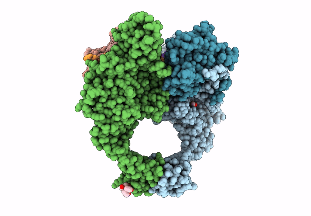 8BP2 image