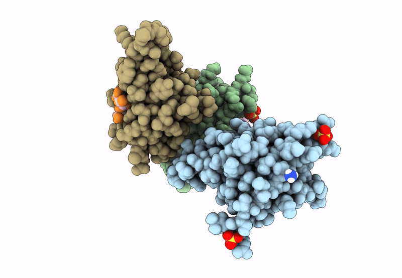 8BP4 image