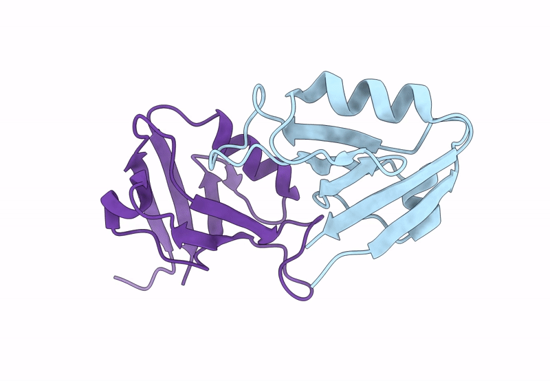 8BP5 image