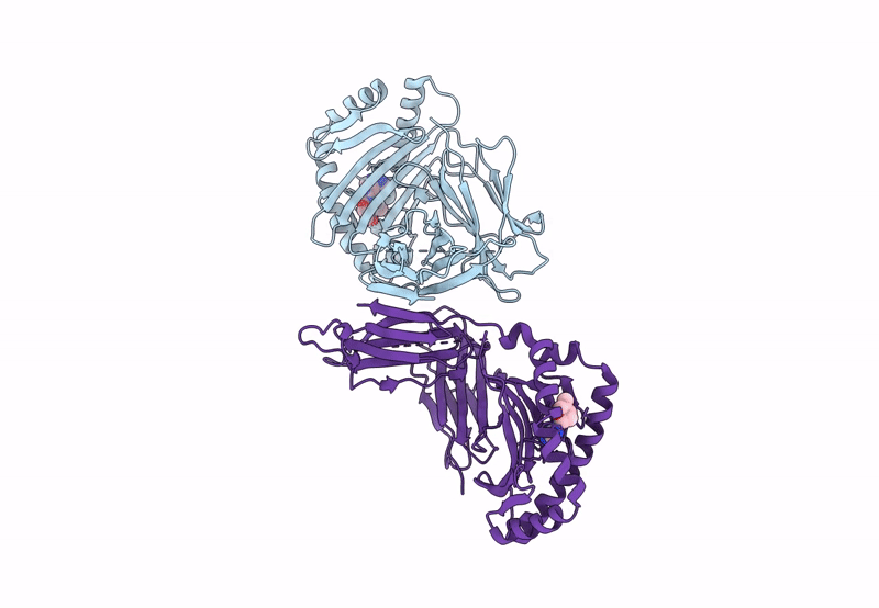 8BP6 image