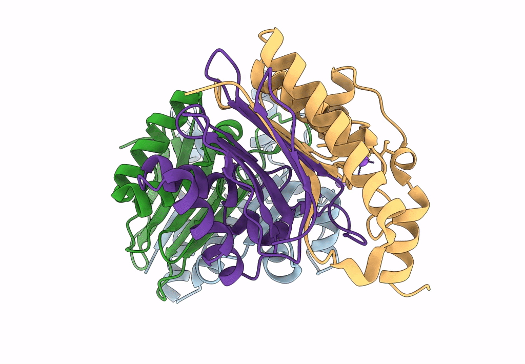 8BP9 image