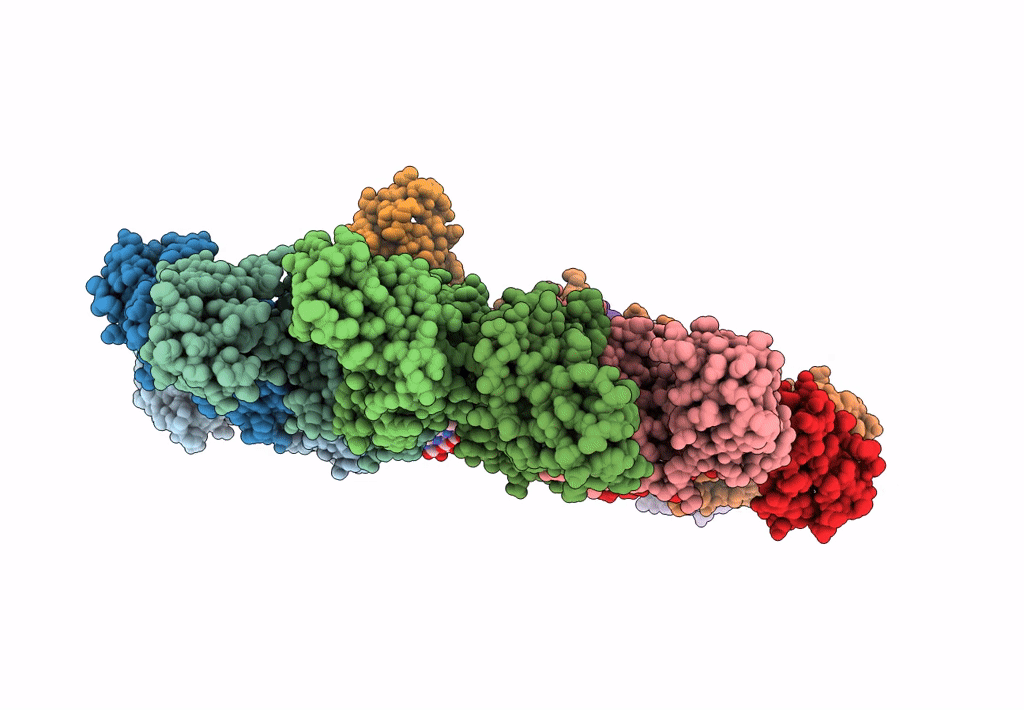8BPF image