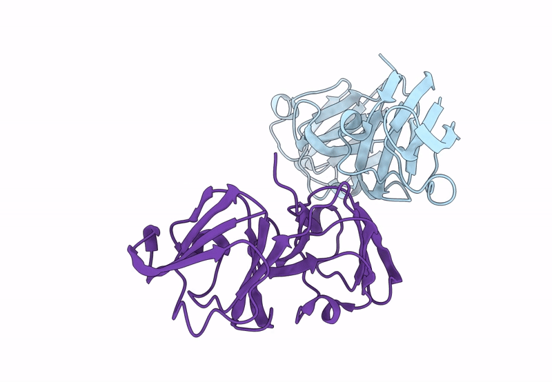 8BPI image