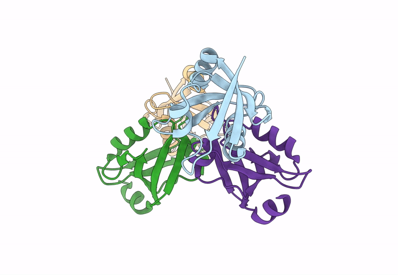 8BPM image
