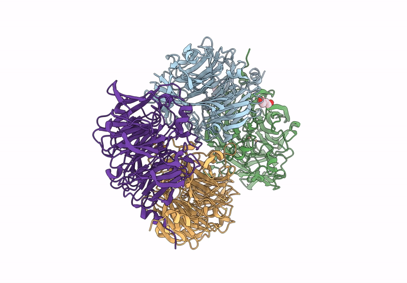 8BPN image