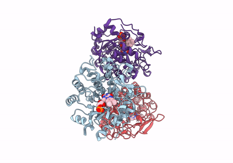 8BPP image