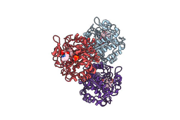 8BPQ image