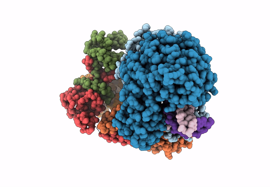 8BPR image