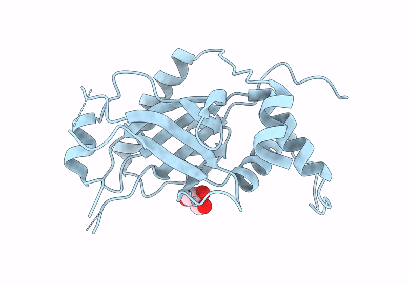 8BQ1 image