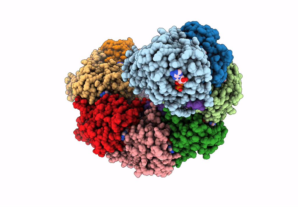 8BQ2 image