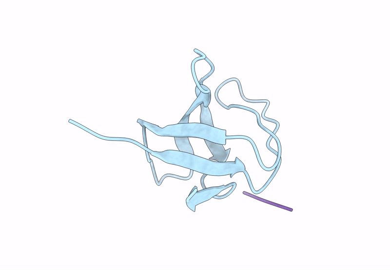 8BQ3 image