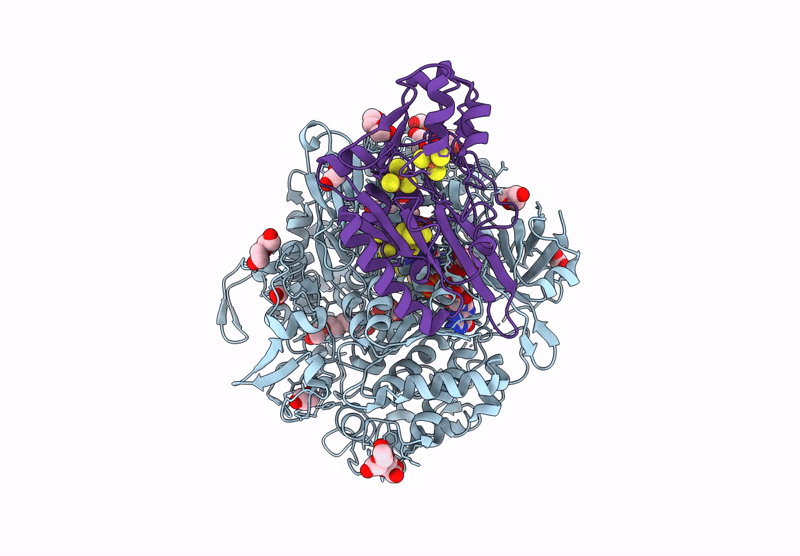 8BQH image