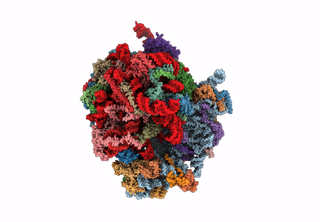 8BQX image