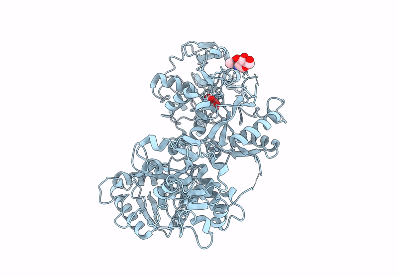 8BRC image