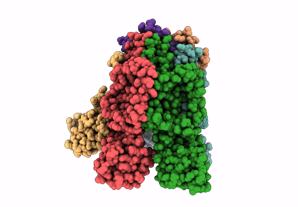 8BRD image