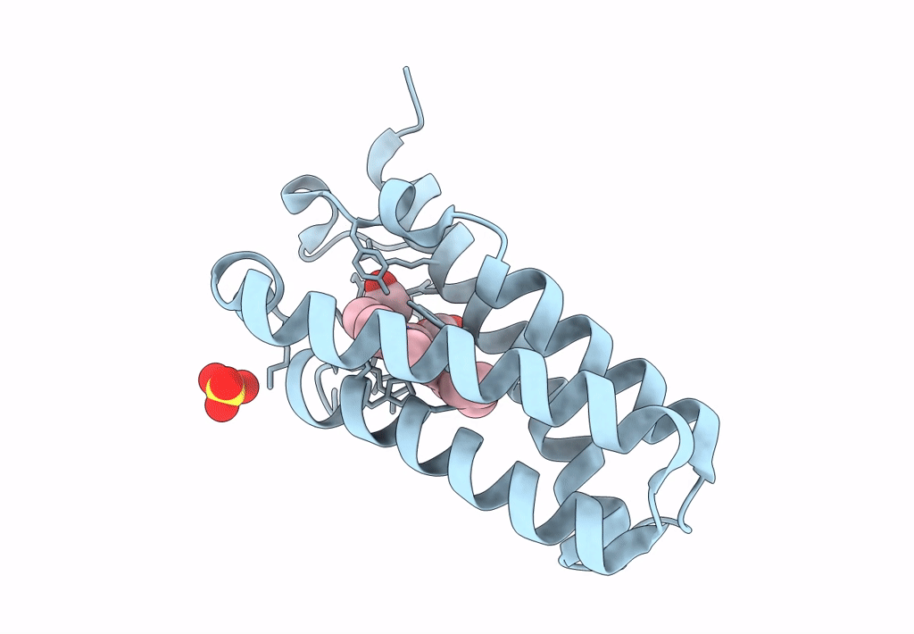8BRL image