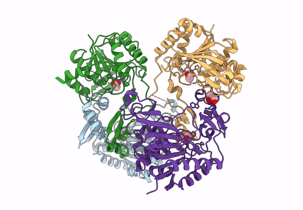 8BRP image