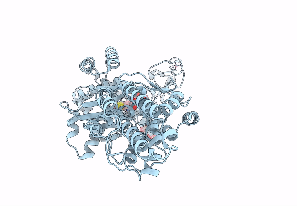 8BRX image