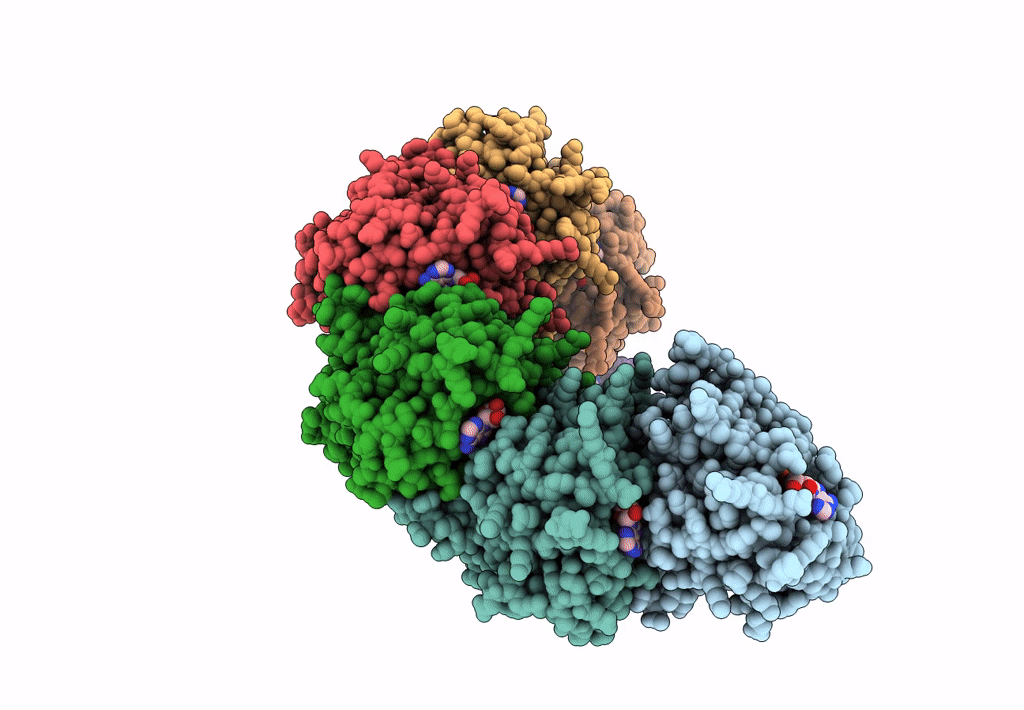8BSC image