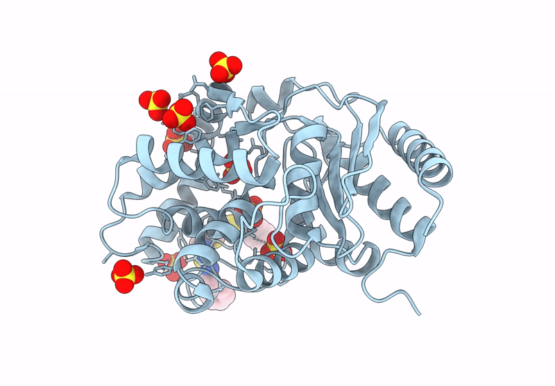 8BSK image