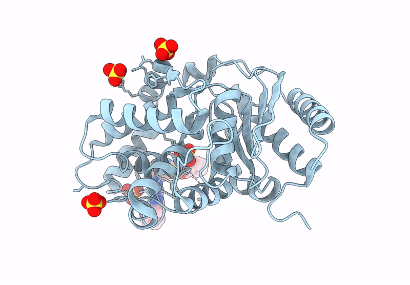8BSM image