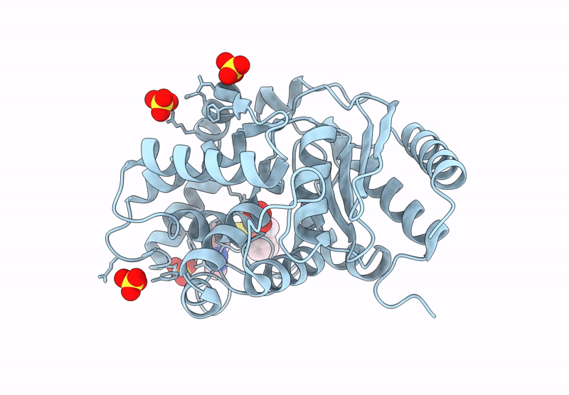 8BSN image