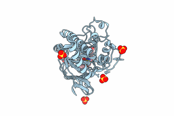 8BSV image